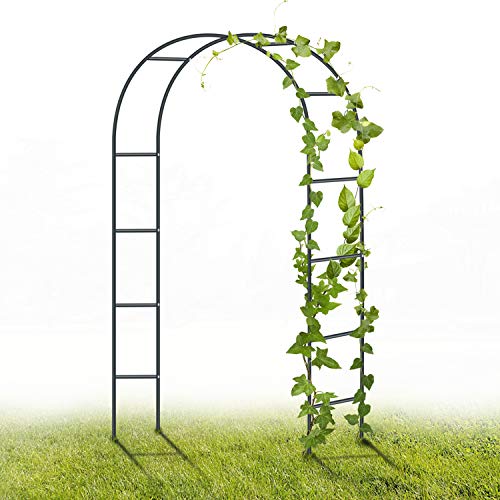 Arche Métallique Blanche – 240 x 140 x 38 cm