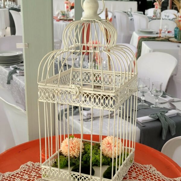 Cage à Oiseaux – Boîte à Bouquet