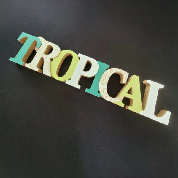 Décoration Tropicale en Bois Coloré – 46 x 10 cm